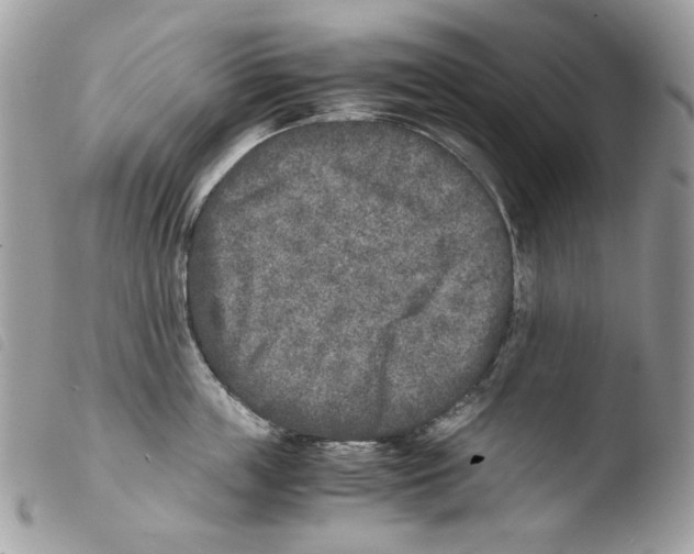 X0000103960859200810171900