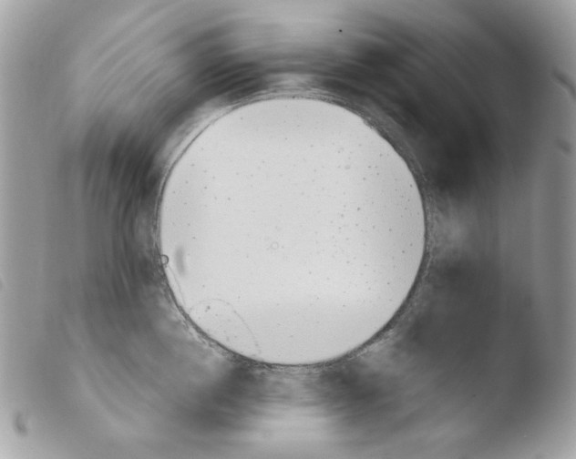 X0000103960860200810171900