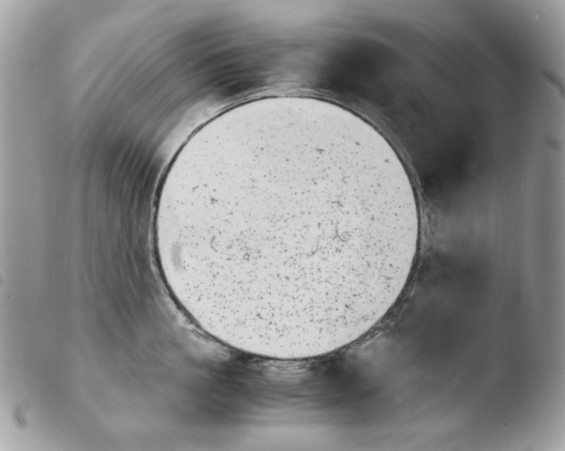 X0000103960861200810171900