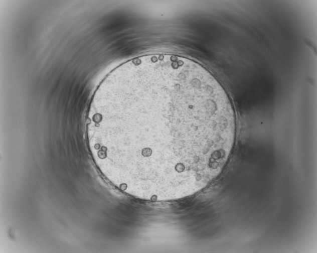 X0000103960862200810171900