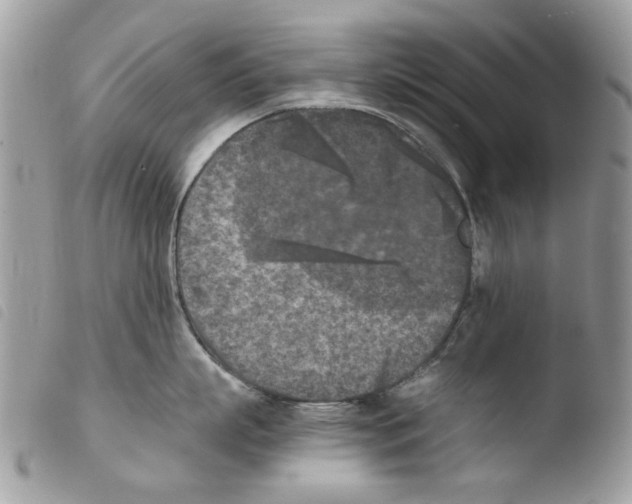 X0000103960863200810171900