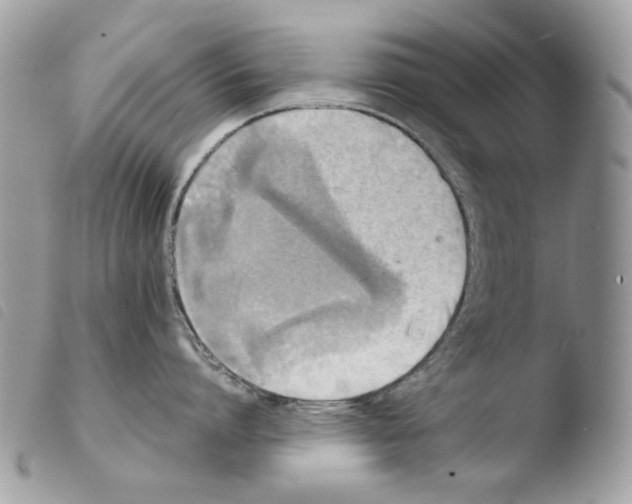 X0000103960864200810171900