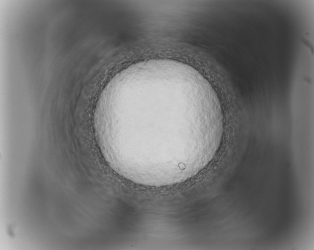 X0000103960865200810171900