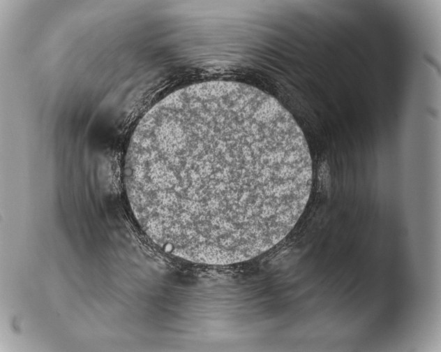 X0000103960868200810171900