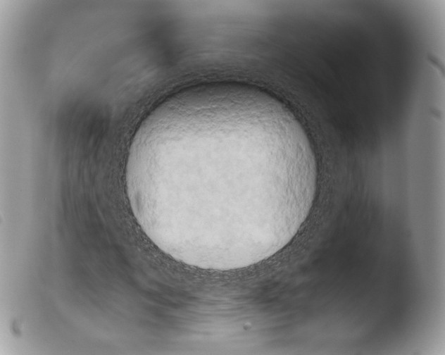 X0000103960869200810171900