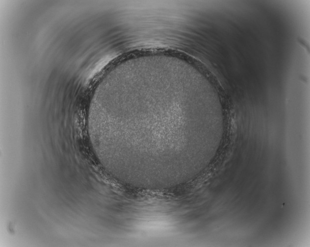 X0000103960871200810171900