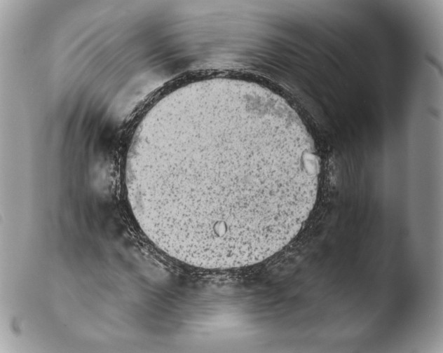 X0000103960872200810171859