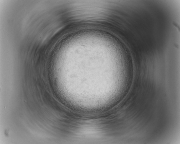 X0000103960873200810171859