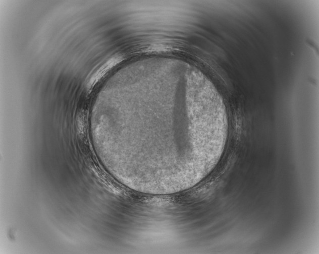 X0000103960874200810171859