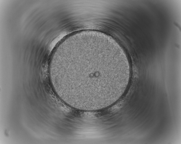 X0000103960875200810171859