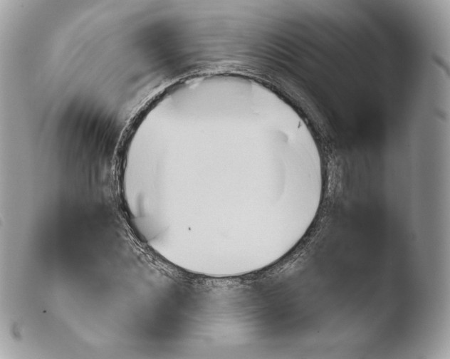 X0000103960876200810171859