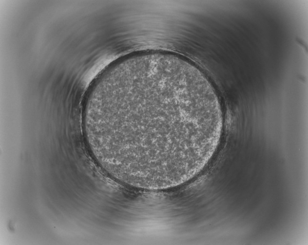 X0000103960877200810171859