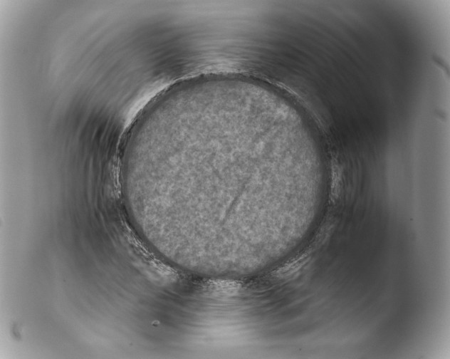 X0000103960878200810171859