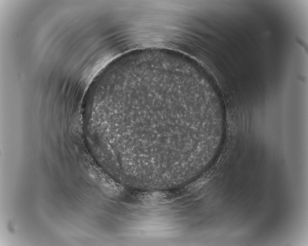 X0000103960879200810171859