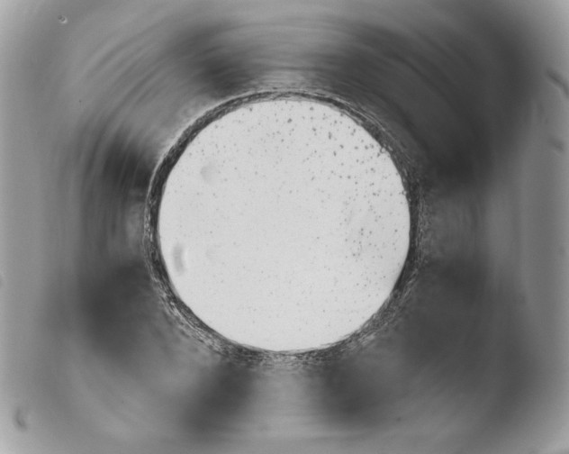 X0000103960880200810171859