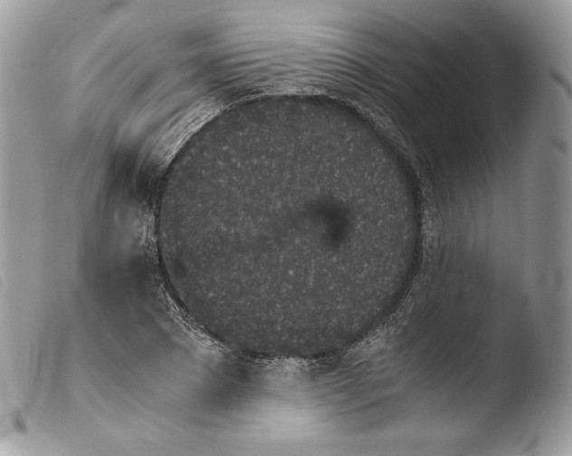 X0000103960881200810171859