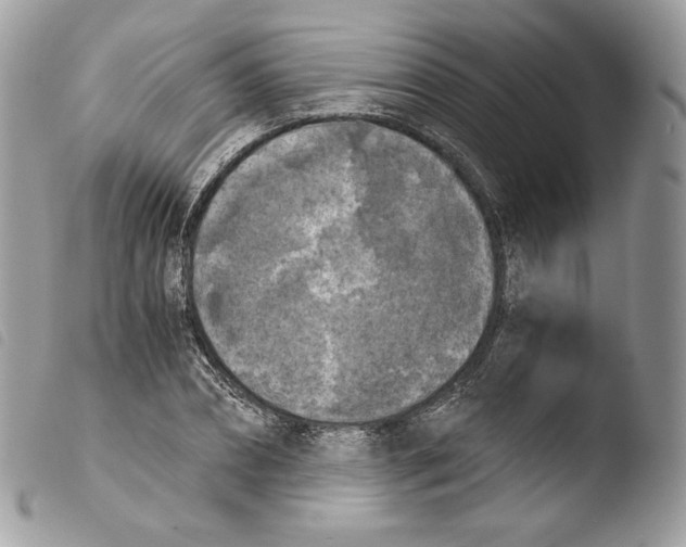 X0000103960882200810171859