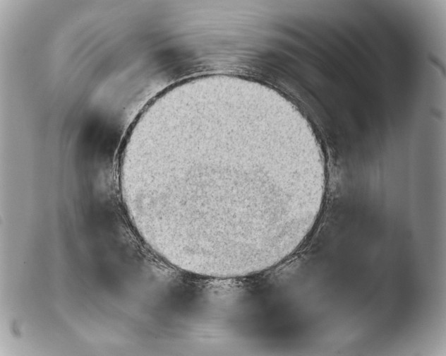 X0000103960883200810171859