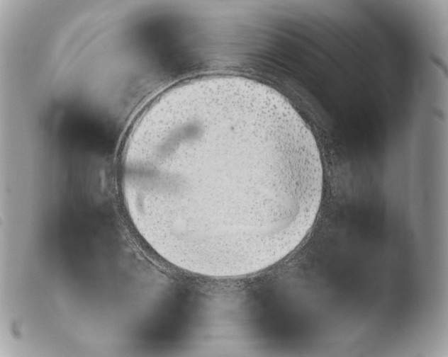 X0000103960884200810171859