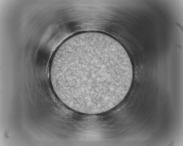 X0000103960885200810171859