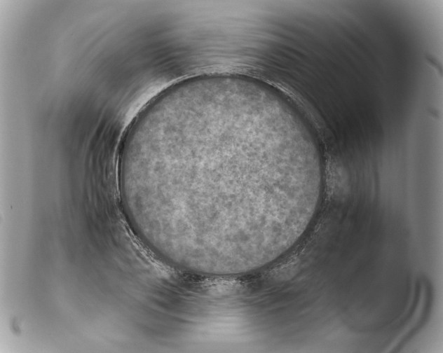 X0000103960886200810171859