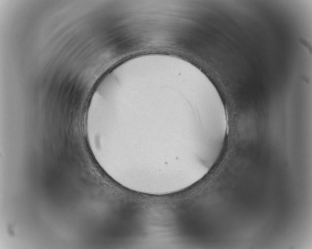 X0000103960888200810171859