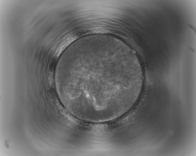 X0000103960889200810171859