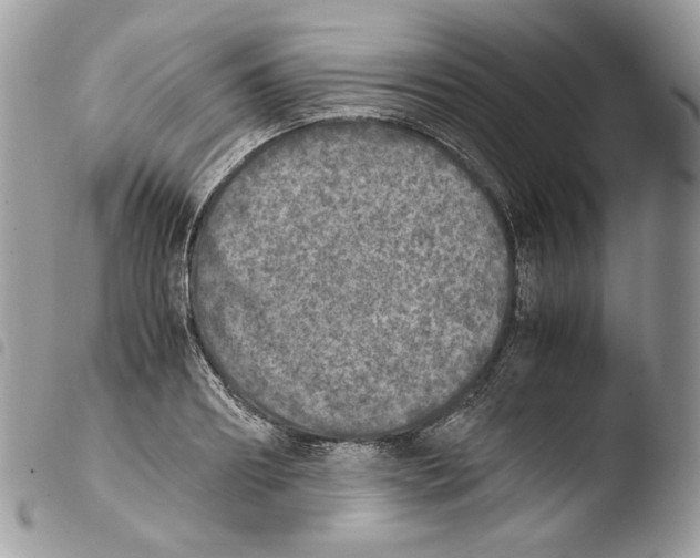 X0000103960890200810171859