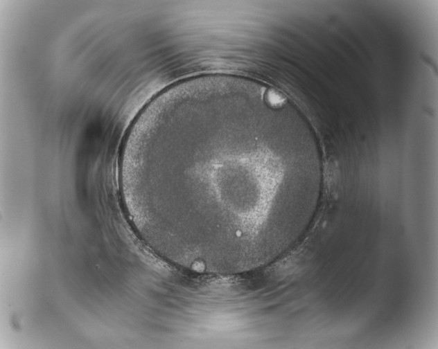 X0000103960891200810171859