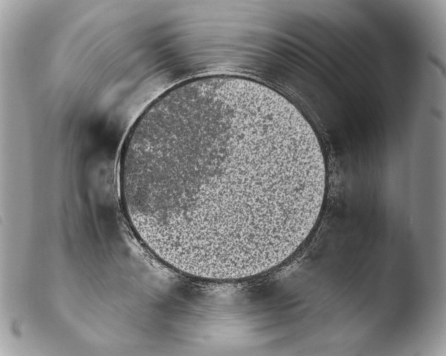 X0000103960892200810171859