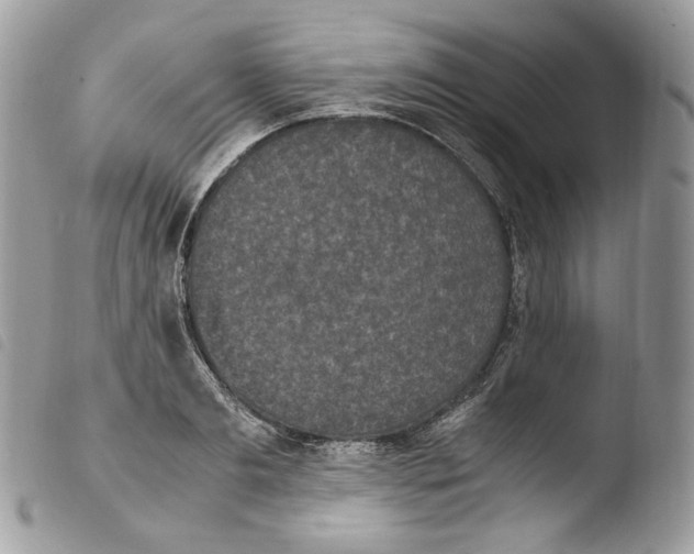 X0000103960893200810171859