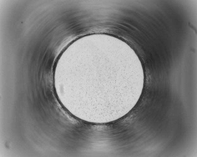 X0000103960894200810171859