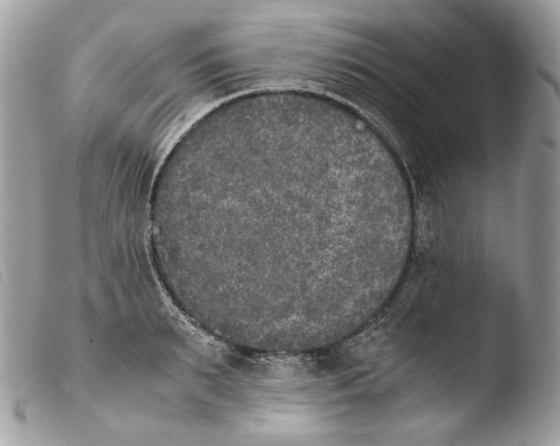 X0000103960895200810171859