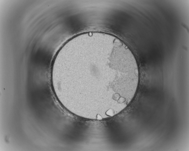 X0000103960896200810171859