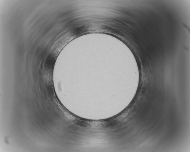 X0000103960897200810171859