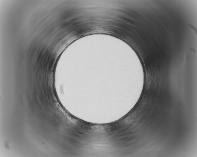 X0000103960898200810171859