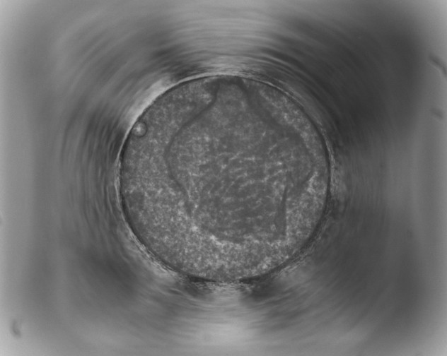 X0000103960899200810171859