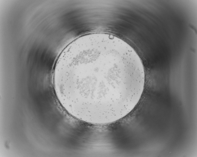 X0000103960900200810171859