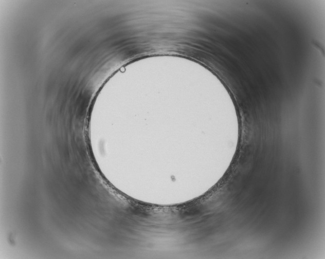 X0000103960901200810171859