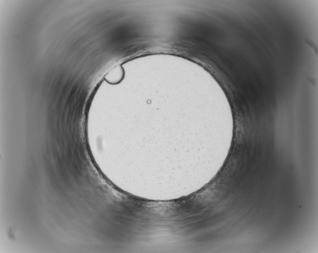 X0000103960902200810171859