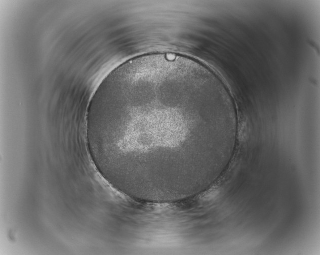 X0000103960903200810171859