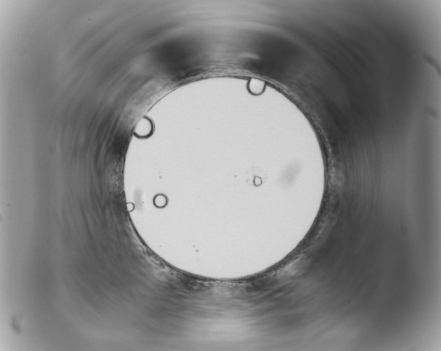 X0000103960905200810171859