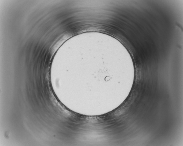 X0000103960906200810171859