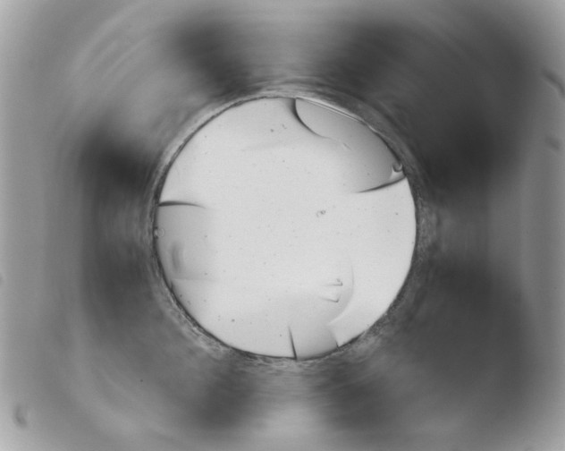 X0000103960908200810171859