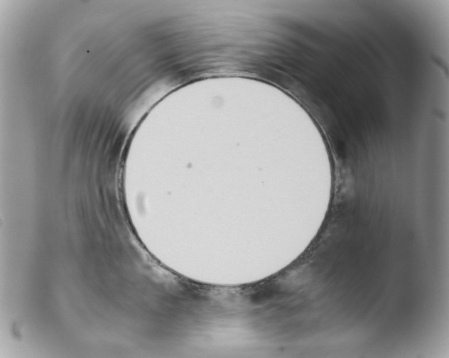 X0000103960909200810171859