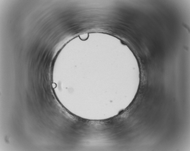 X0000103960910200810171859