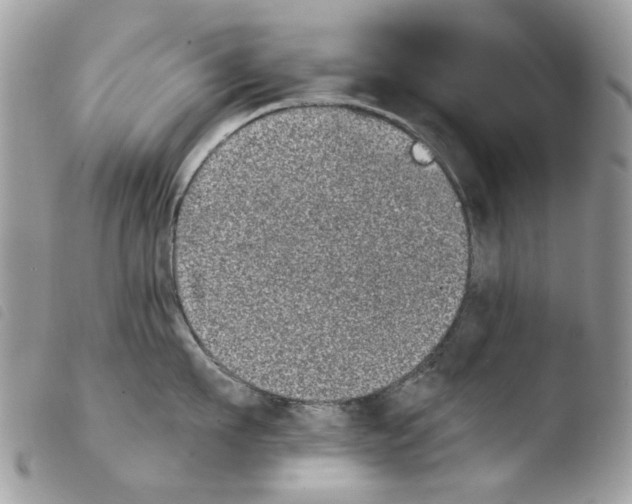 X0000103960911200810171859