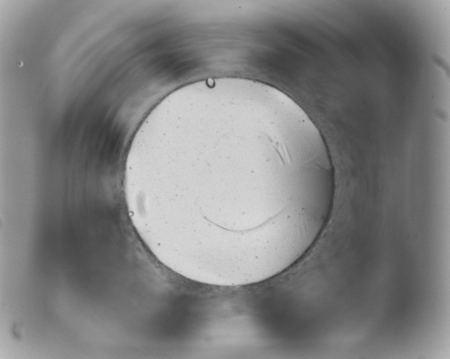 X0000103960912200810171859