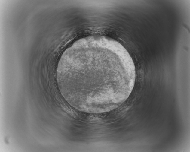 X0000103960913200810171858