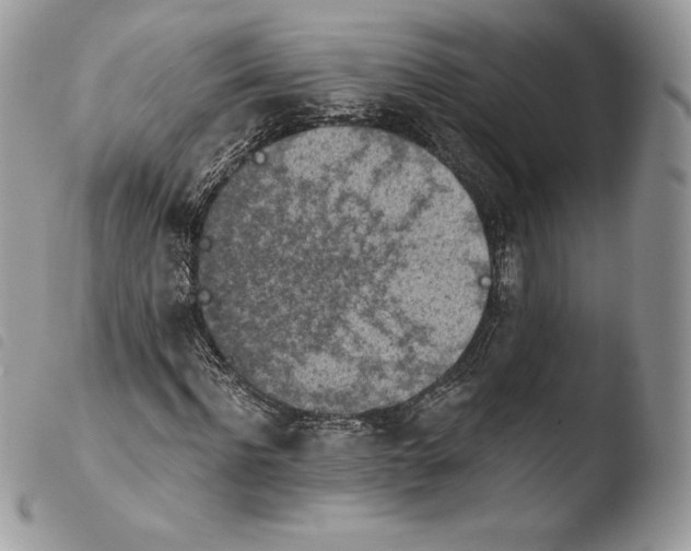 X0000103960916200810171858